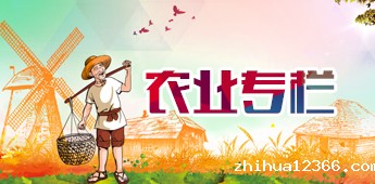 农业专栏.jpg